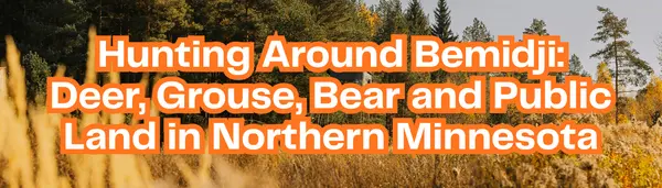 Hunting Around Bemidji MN: Deer, Grouse, Bear & Public Land