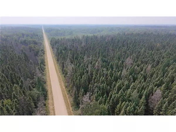 TBD 40 Acres Sunflower, Woodrow Twp, MN 56650