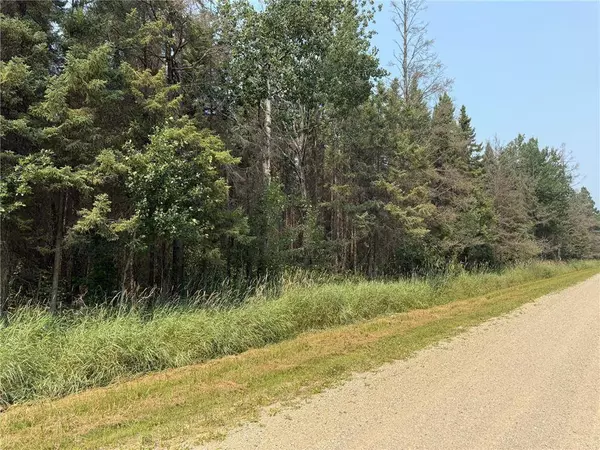 TBD 40 Acres Sunflower, Woodrow Twp, MN 56650