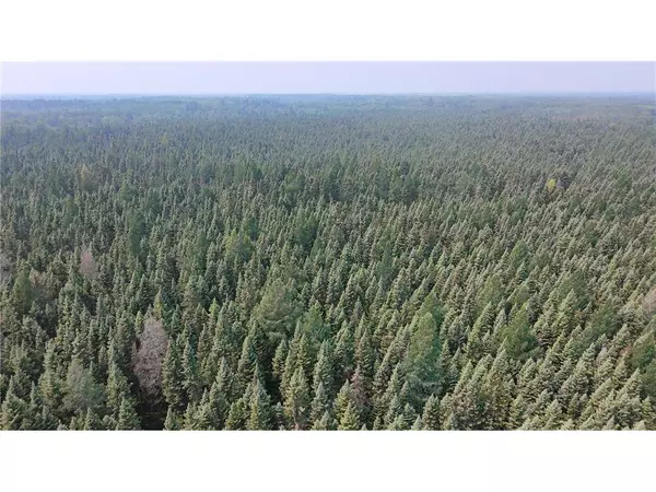 TBD 40 Acres Sunflower, Woodrow Twp, MN 56650