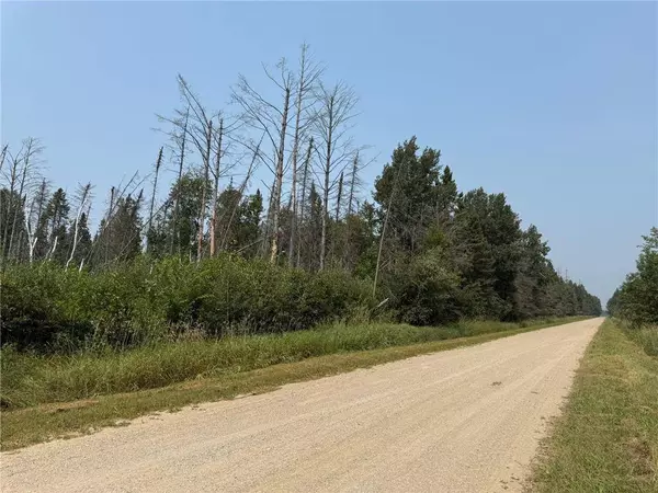 TBD 40 Acres Sunflower, Woodrow Twp, MN 56650