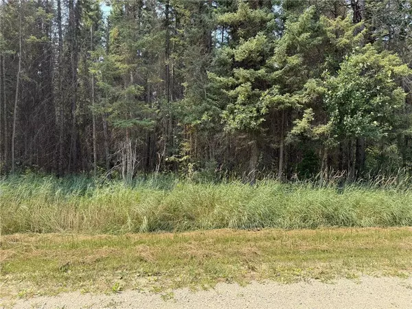 TBD 40 Acres Sunflower, Woodrow Twp, MN 56650