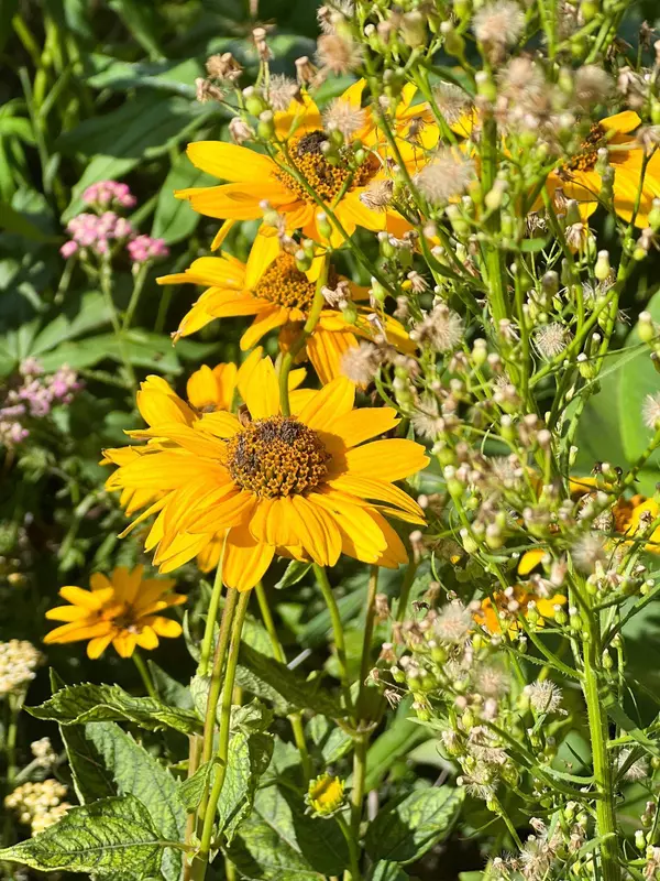 2019 Whiting RD NW, Northern Twp, MN 56601