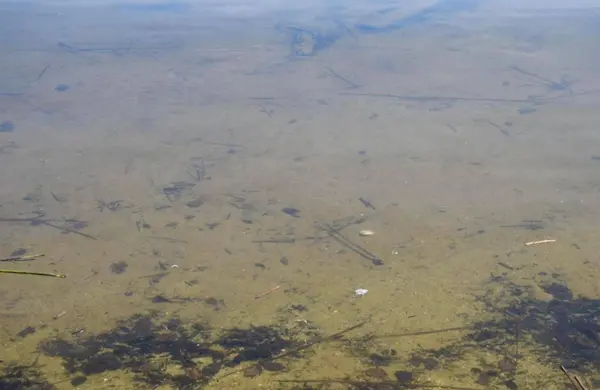 6420 Birchmont DR NE, Bemidji, MN 56601