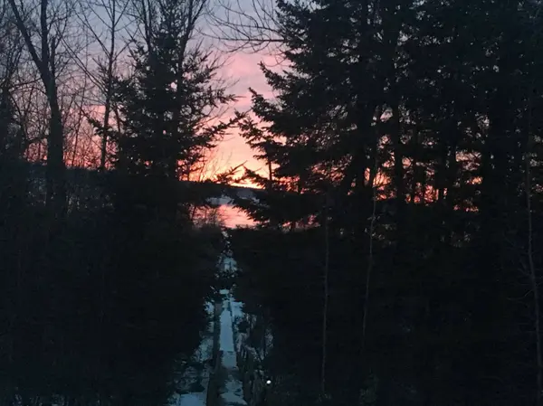 50185 219th AVE, Bemidji, MN 56601