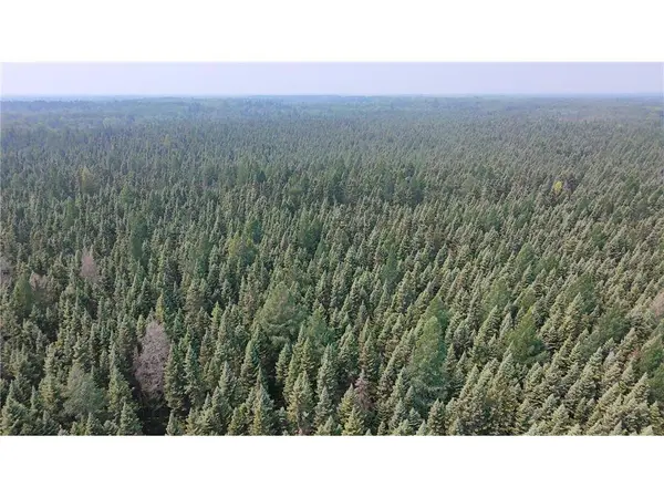 TBD 40 Acres Sunflower, Kelliher, MN 56650