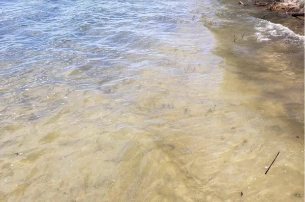 22173 Erdahl CT NE, Tenstrike, MN 56683