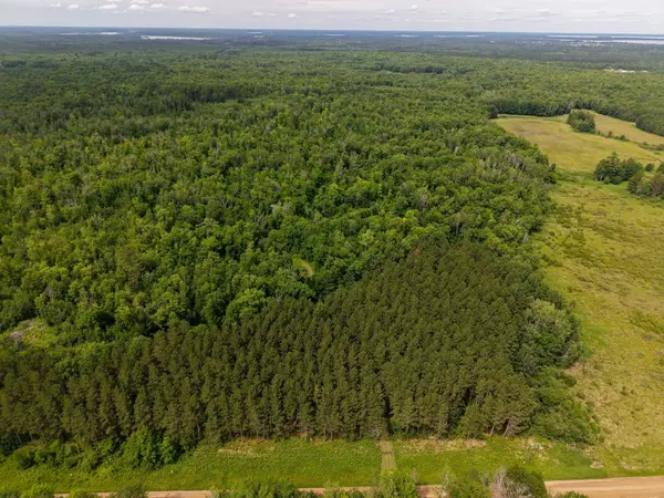 80 Acres Pike Bay Loop RD NW, Cass Lake, MN 56633