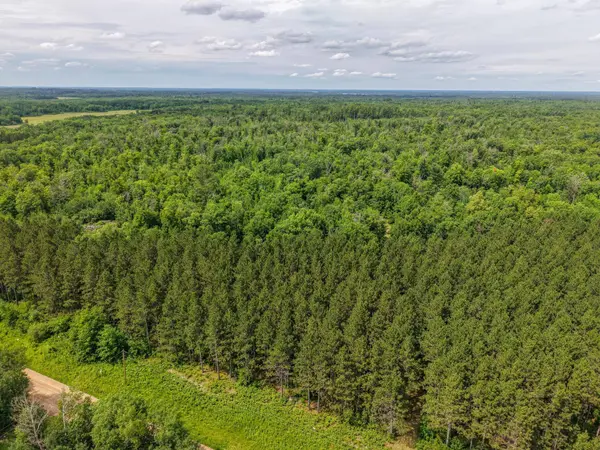 80 Acres Pike Bay Loop RD NW, Cass Lake, MN 56633