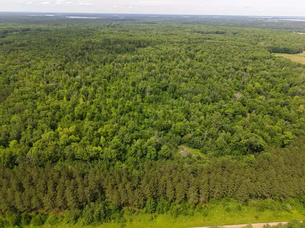 80 Acres Pike Bay Loop RD NW, Cass Lake, MN 56633