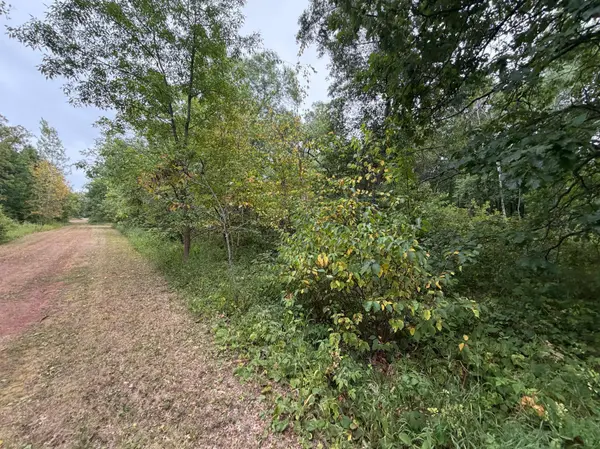 Lot 1 Whitetail, Crosby, MN 56441