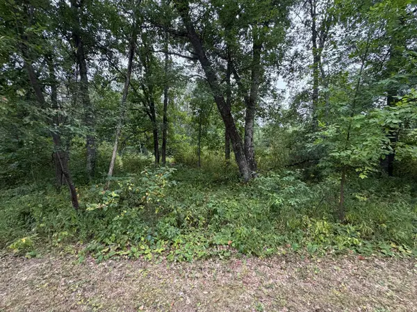 Lot 1 Whitetail, Crosby, MN 56441