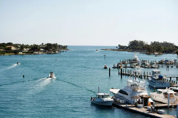 Jupiter FL Luxury Living 2026 Guide,David Cohn