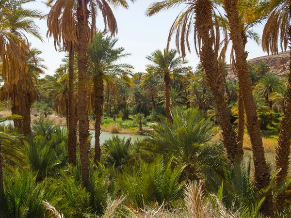 Frenchman's Reserve Palm Beach Gardens: Private Golf Oasis for Discerning Families and Executives,David Cohn
