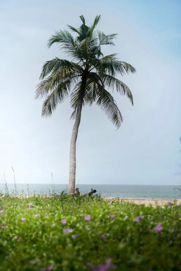 Understanding Closing Costs for Buyers in Palm Beach County | Complete Homebuyer Guide,David Cohn