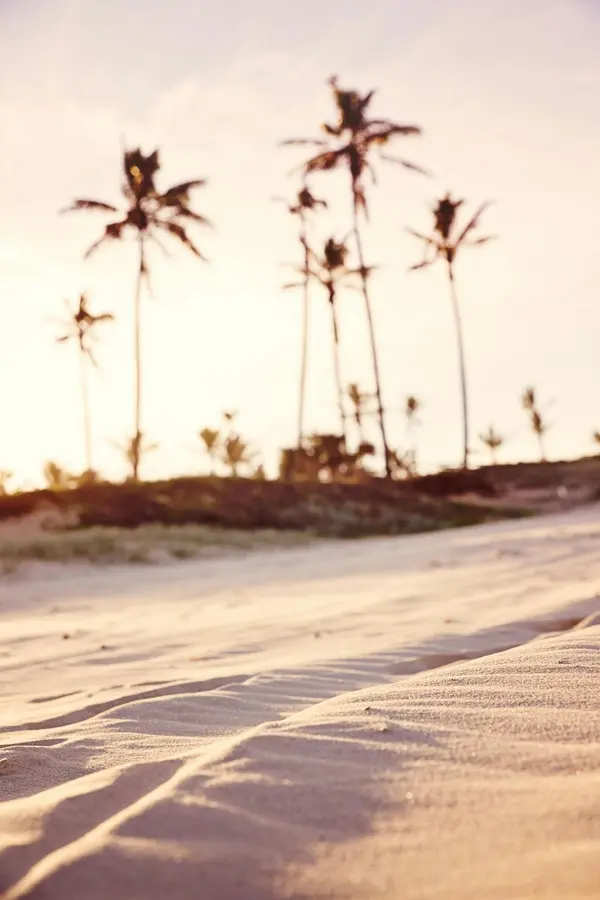 Common Mistakes Home Sellers Make in Palm Beach County | Seller’s Guide,David Cohn