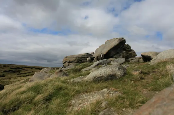 2026 Home Selling Guide: Maximizing Value in Lauderdale Lakes FL 33313