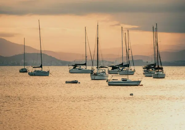 LuxLiving South Florida’s Proven System for Selling Luxury Homes in Palm Beach County