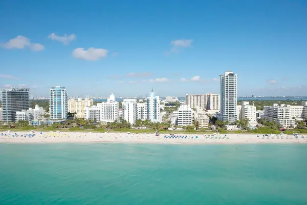 Top 5 Neighborhoods for Young Professionals in Miami | Best Areas to Live in 2026,David Cohn