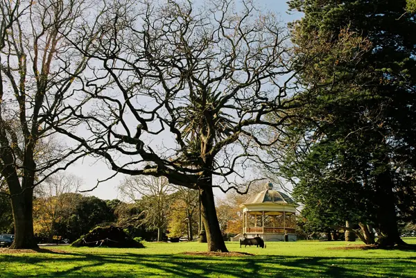 Hollywood FL 33023 Real Estate: What to Know Before You Buy or Sell