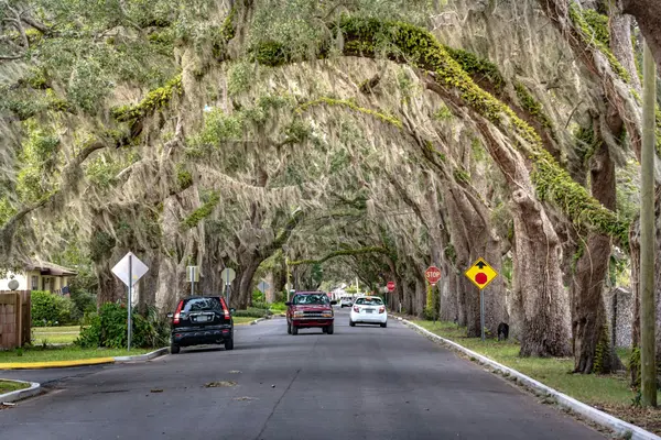 The Ultimate Guide to Private Communities in South Florida