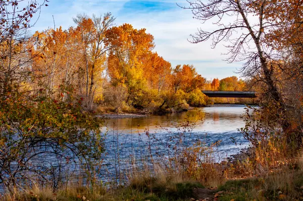 Fall in Love with Boise