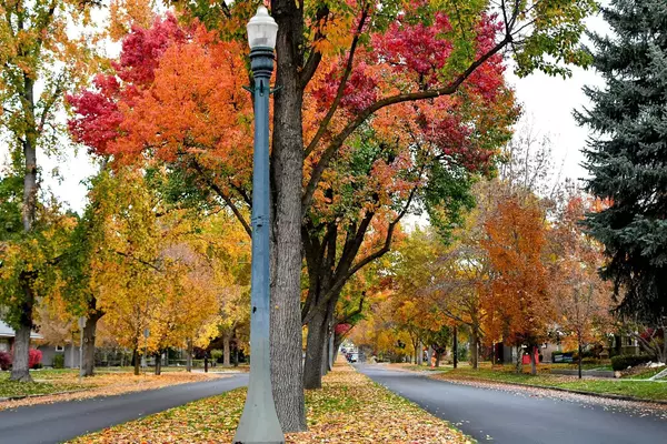 Our Favorite Boise Neighborhoods for Every Lifestyle