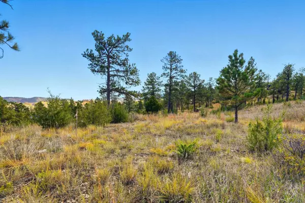 Pine Hills Dr, Rapid City, SD 57702