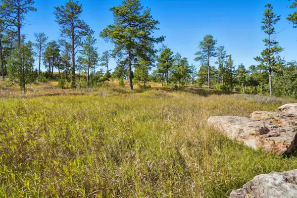 Pine Hills Dr, Rapid City, SD 57702