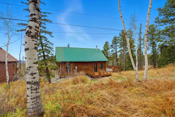 21180 Lookout Trail, Lead, SD 57754