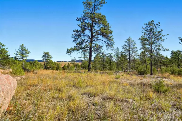 Pine Hills Dr, Rapid City, SD 57702