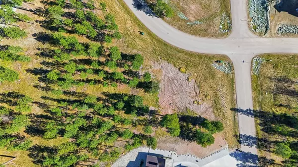 Trailside Road, Lead, SD 57754