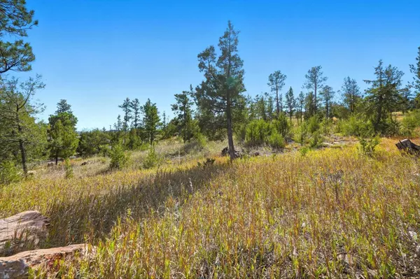 Pine Hills Dr, Rapid City, SD 57702