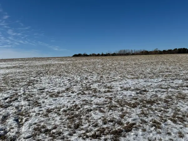 County Road P, Yutan, NE 68073