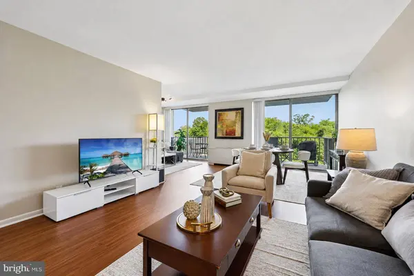 301 N BEAUREGARD ST #313