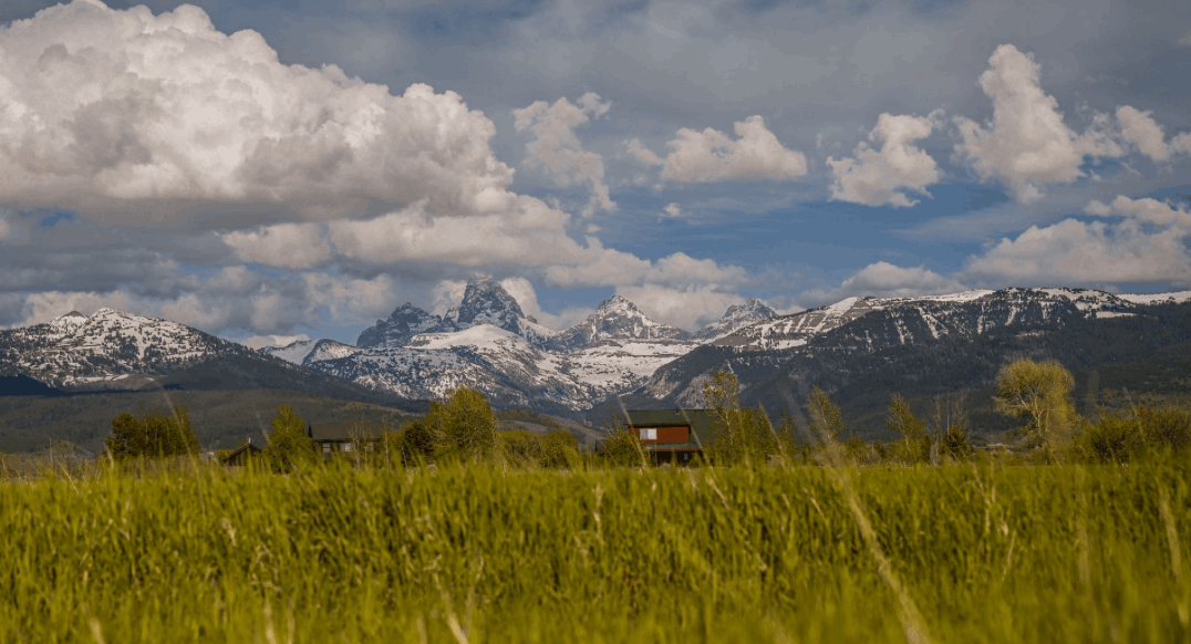 Screenshot 2025-08-26 at 9.58.55 PM