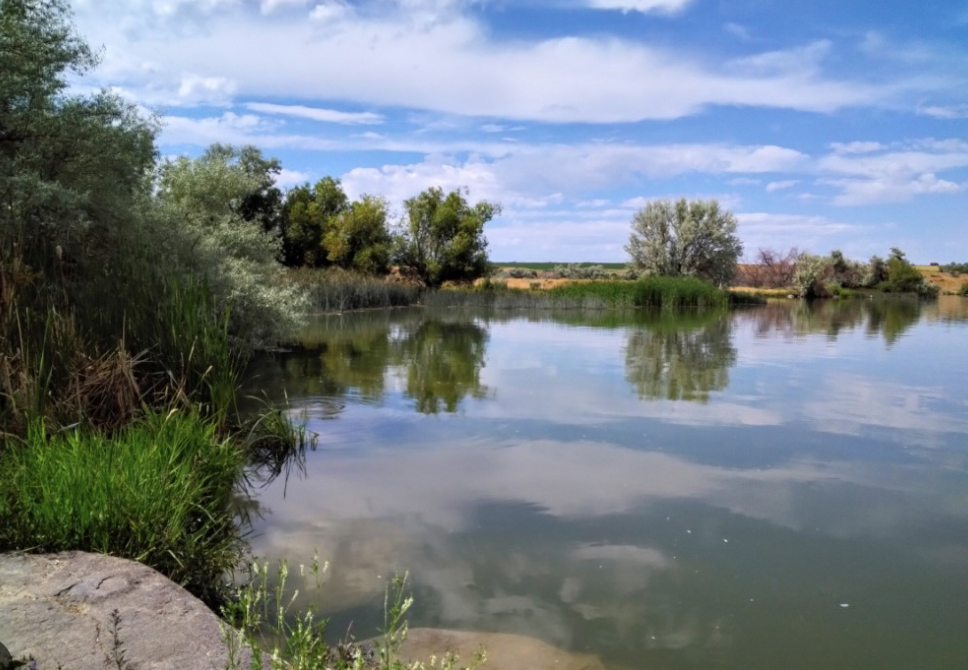 Screenshot 2025-08-26 at 10.06.39 PM