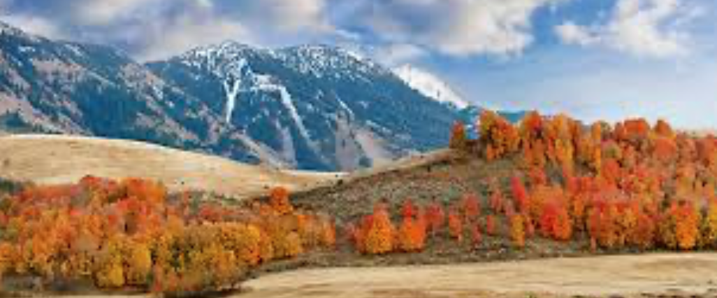 Screenshot 2025-08-26 at 8.18.42 PM