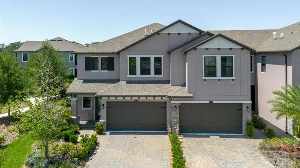 4531 ALMADA LN SE, Wesley Chapel, FL 33543