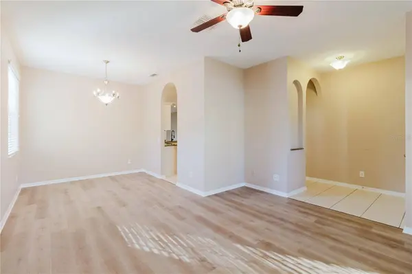 3037 DOWNAN POINT DR, Land O Lakes, FL 34638