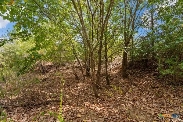 TBD Tonkawa DR, Paige, TX 78659