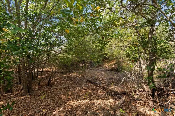 TBD Tonkawa DR, Paige, TX 78659