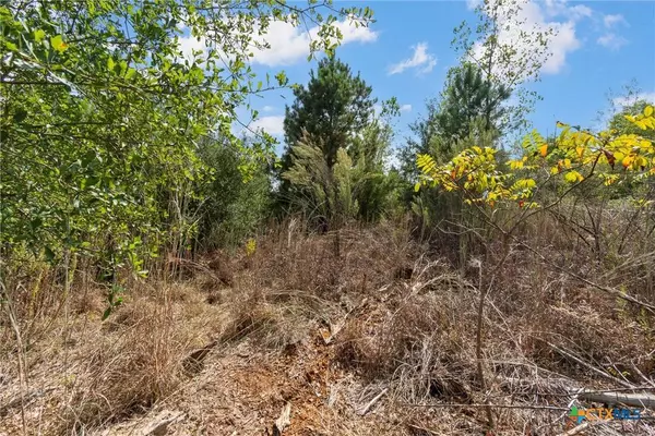 TBD Tonkawa DR, Paige, TX 78659