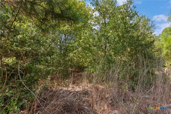 TBD Tonkawa DR, Paige, TX 78659