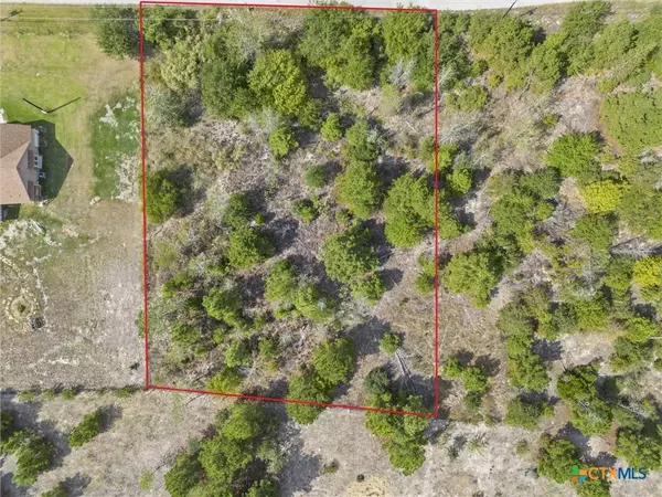 TBD Tonkawa DR, Paige, TX 78659