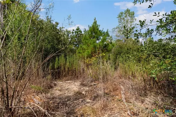 TBD Tonkawa DR, Paige, TX 78659