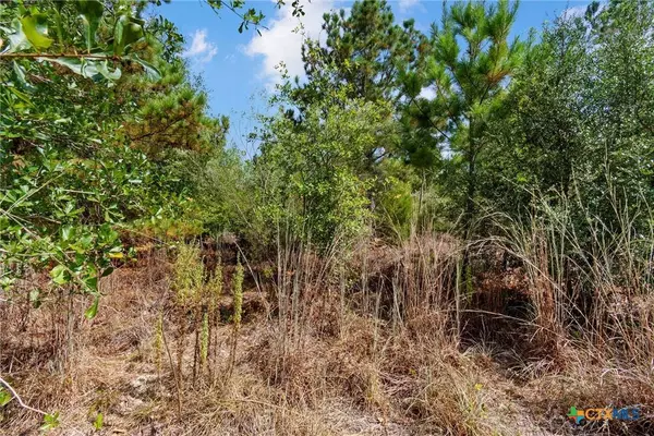 TBD Tonkawa DR, Paige, TX 78659