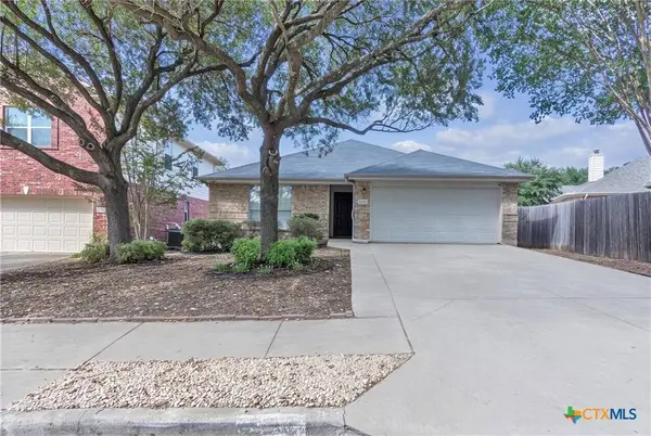 16832 Luckenwald DR, Round Rock, TX 78681