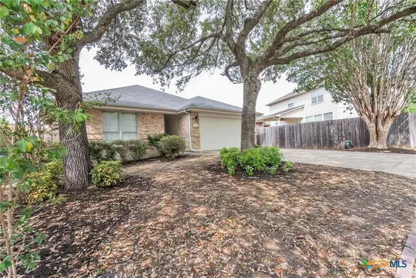16832 Luckenwald DR, Round Rock, TX 78681