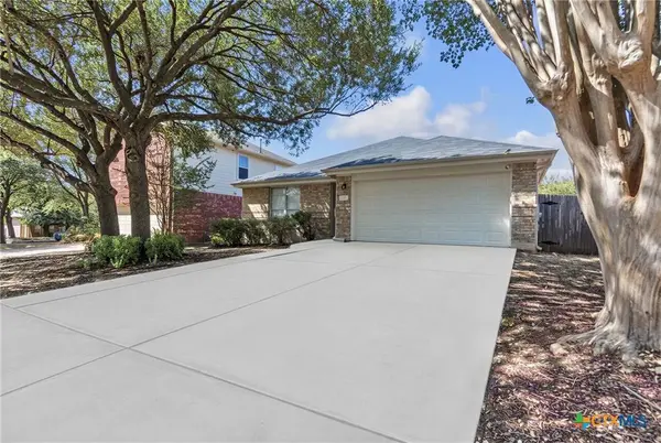 16832 Luckenwald DR, Round Rock, TX 78681